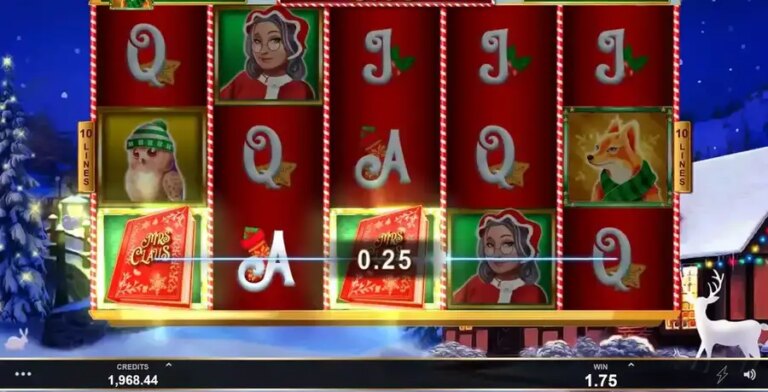 Book Of Mrs Claus