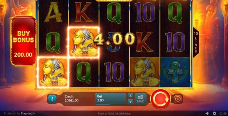 Book of Gold Multichance