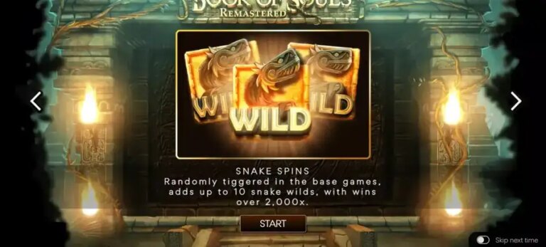 Book of Souls Remastered