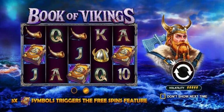 Book of Vikings