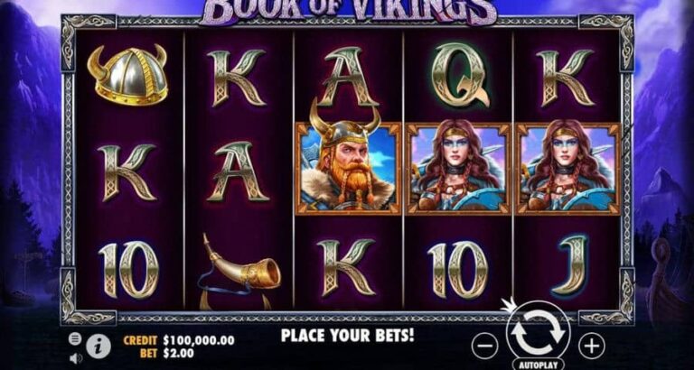 Book of Vikings