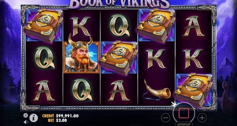 Book of Vikings
