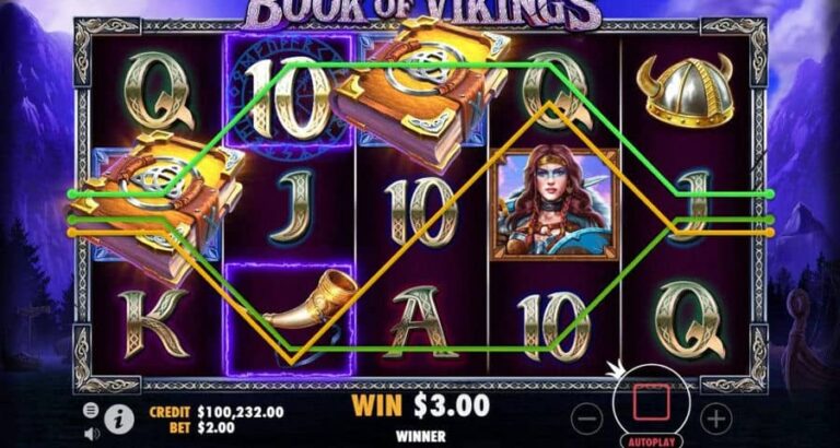Book of Vikings