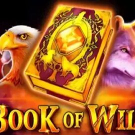 Book of Wild