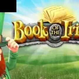 Book of the Irish
