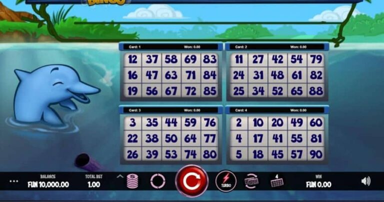 Boto Bingo