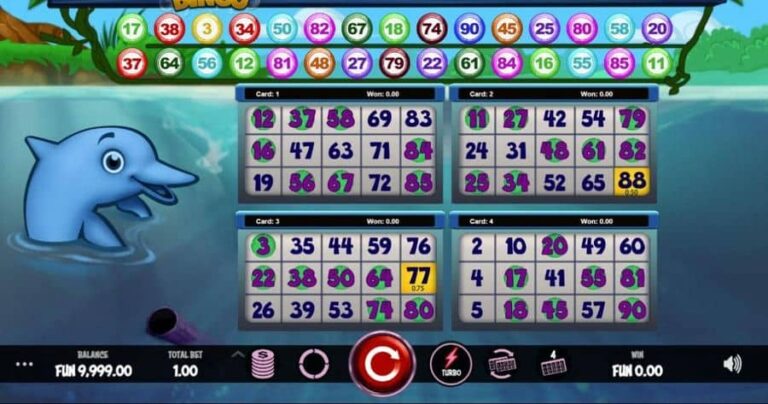 Boto Bingo