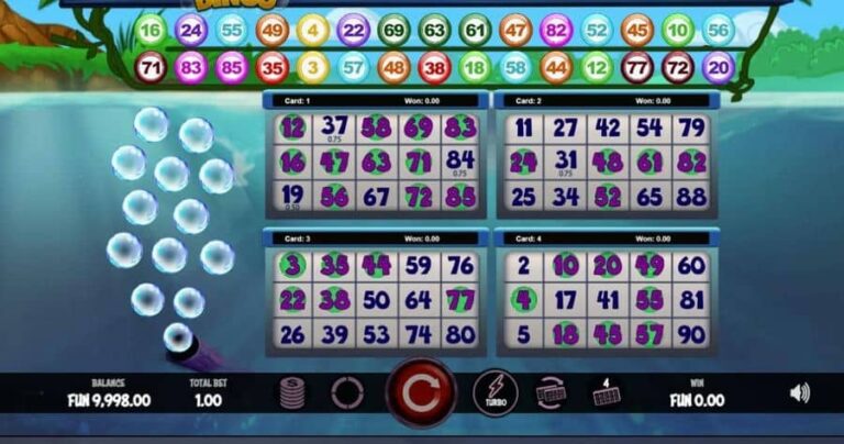 Boto Bingo