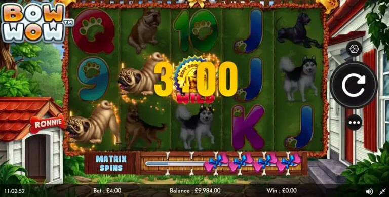 Bow Wow