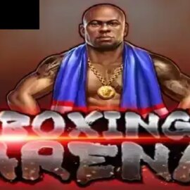 Boxing Arena