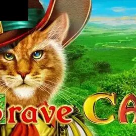 Brave Cat