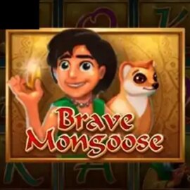 Brave Mongoose