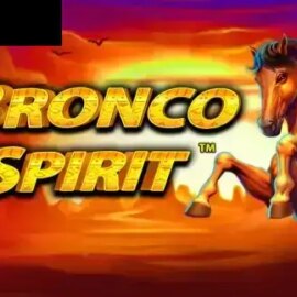 Bronco Spirit