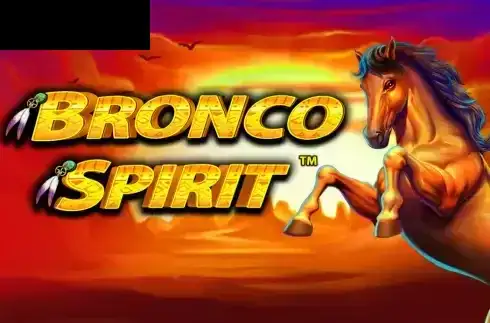Bronco Spirit