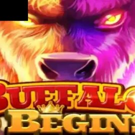 Buffalo Begins
