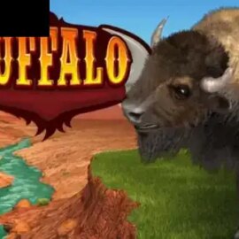 Buffalo Bingo