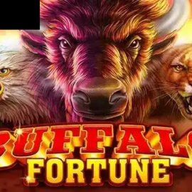 Buffalo Fortune