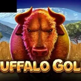 Buffalo Gold