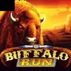 Buffalo Run