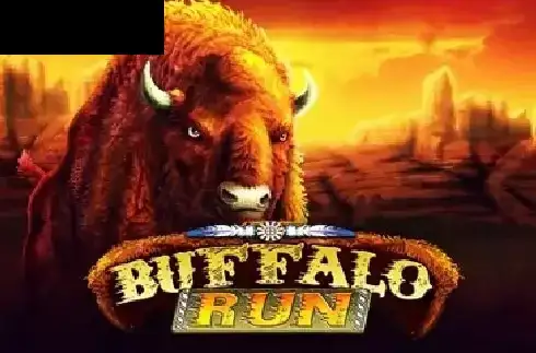 Buffalo Run