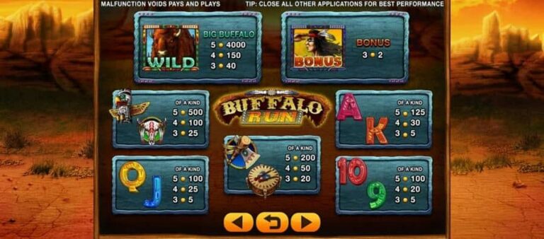 Buffalo Run
