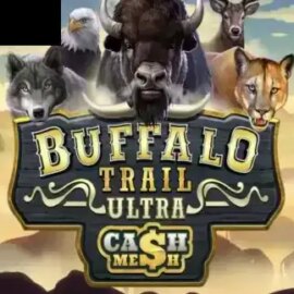 Buffalo Trail Ultra