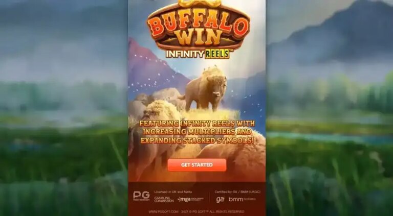 Buffalo Win Infinity Reels