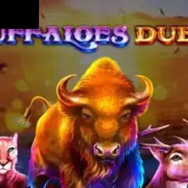 Buffaloes Duel