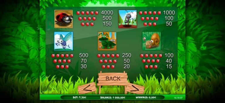 Bug’s World