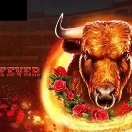Bull Fever