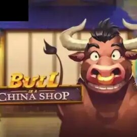 Bull in a China Shop