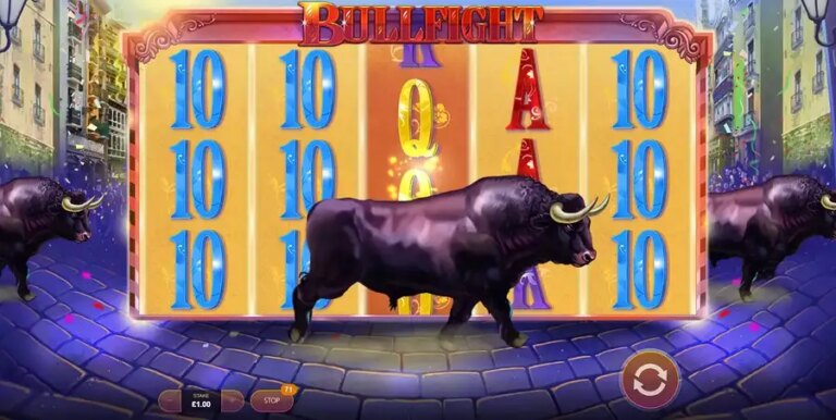 Bullfight