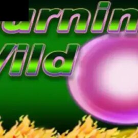 Burning Wild (Spinthon)