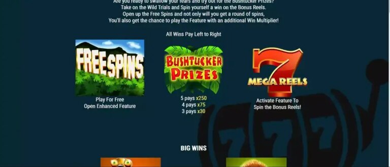 Bushtucker Prizes