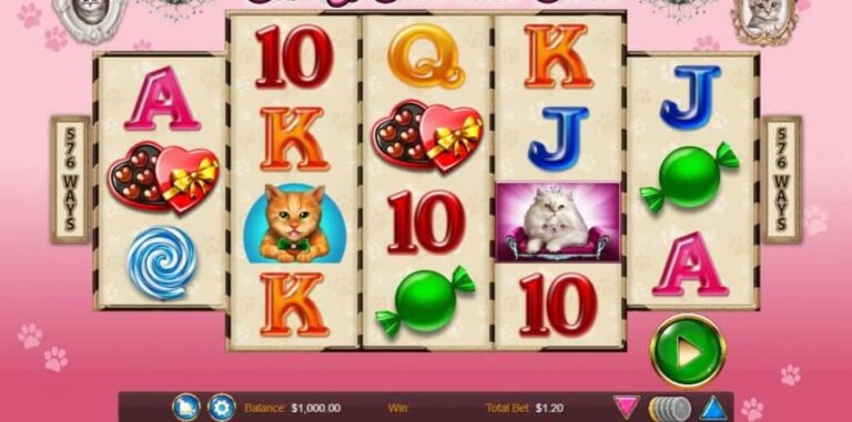 Candy Cats and Cash