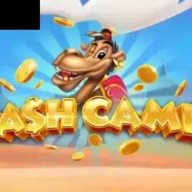 Cash Camel