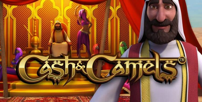Cash & Camels