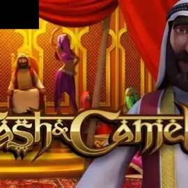 Cash & Camels