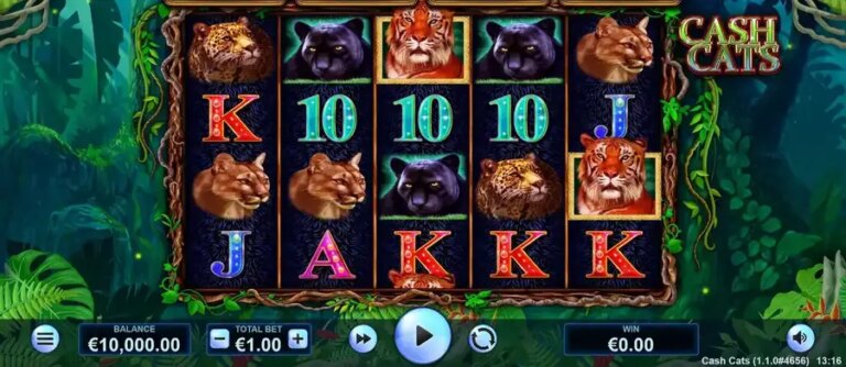 Cash Cats