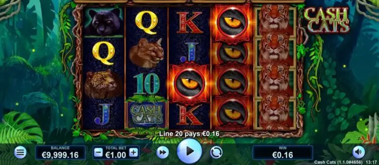 Cash Cats