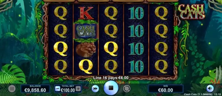 Cash Cats