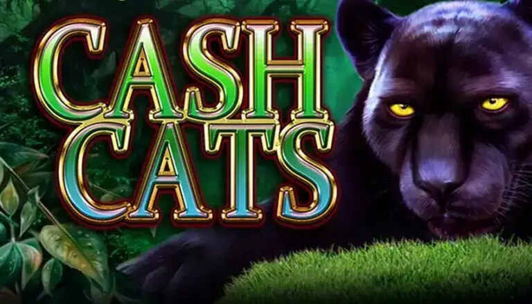 Cash Cats