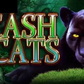 Cash Cats