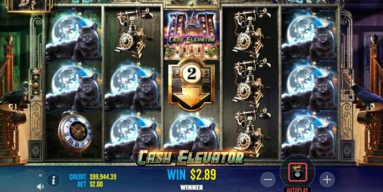 Cash Elevator