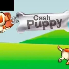 Cash Puppy