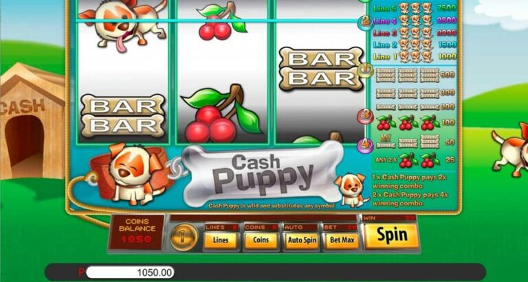 Cash Puppy