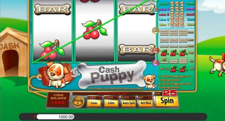 Cash Puppy