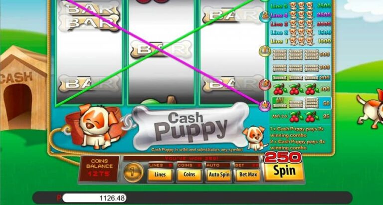 Cash Puppy