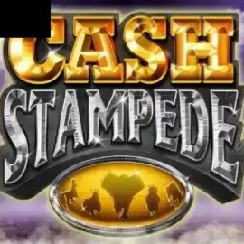 Cash Stampede Dice