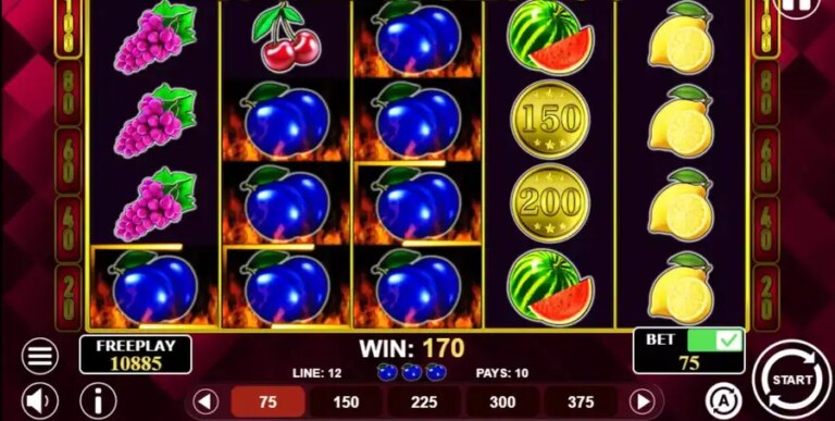 Cash’n Fruits 100